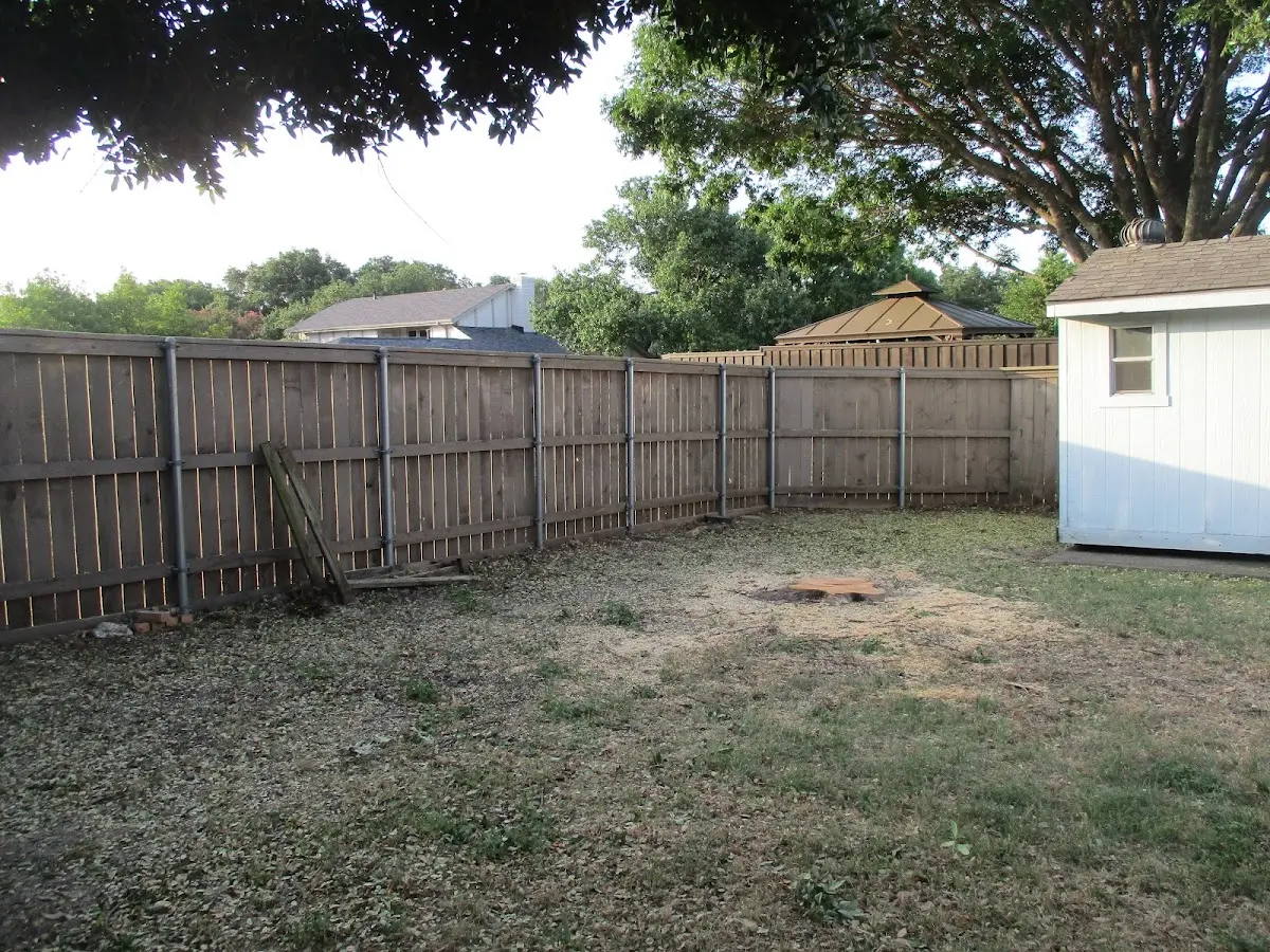 Cleared yard after professional tree removal in Concordia